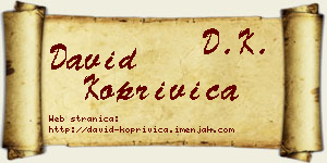 David Koprivica vizit kartica